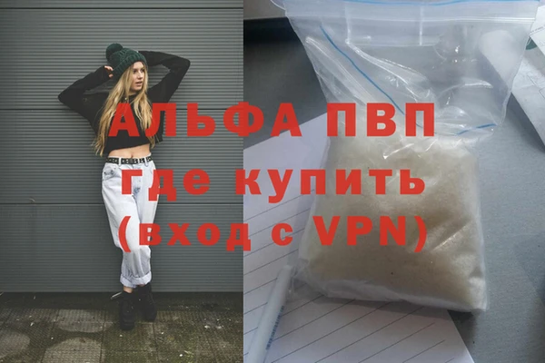 ПСИЛОЦИБИНОВЫЕ ГРИБЫ Богданович