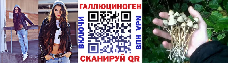 купить наркотики цена  Губаха  Галлюциногенные грибы GOLDEN TEACHER 
